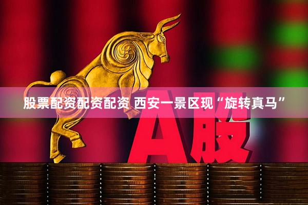 股票配资配资配资 西安一景区现“旋转真马”