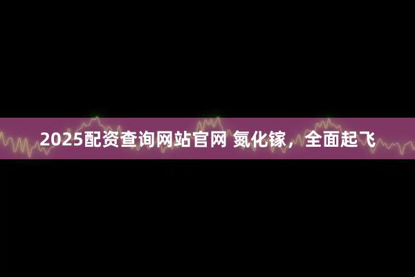 2025配资查询网站官网 氮化镓，全面起飞