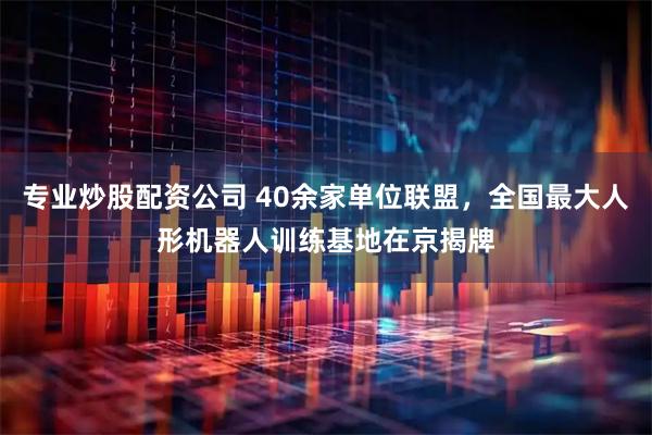 专业炒股配资公司 40余家单位联盟，全国最大人形机器人训练基地在京揭牌